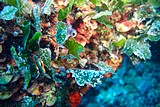 DSC02198.jpg